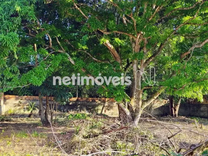 Terreno à venda, com algumas edificações, centro de Monte Gordo, Próximo de Guarajuba, Cam