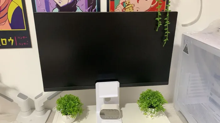 Monitor Lg 24 100mhz
