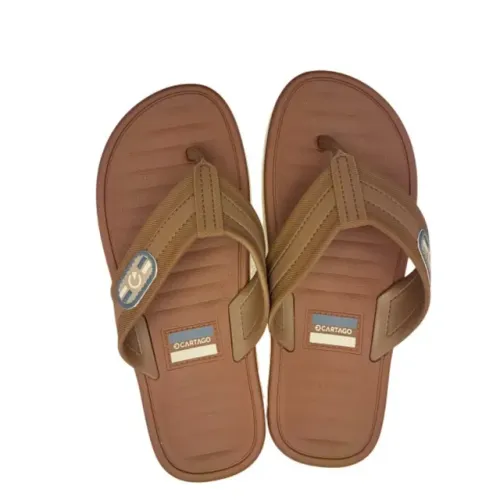 Chinelo de Dedo Infantil Meninos Conforto Paris II Cartago Marrom 12468BI185
