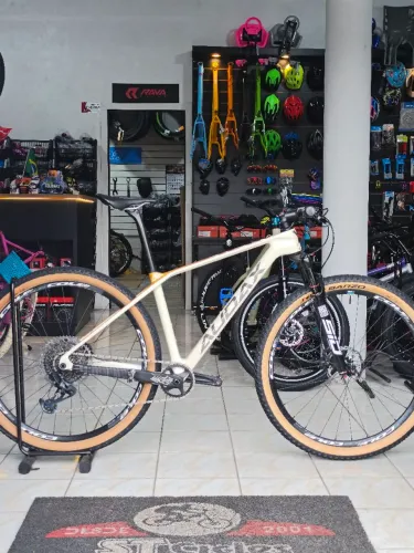 Bicicleta Audax Auge 800 Carbono