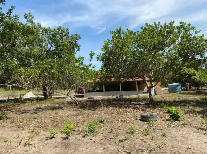 Sítio 10 hectares em José de Freitas