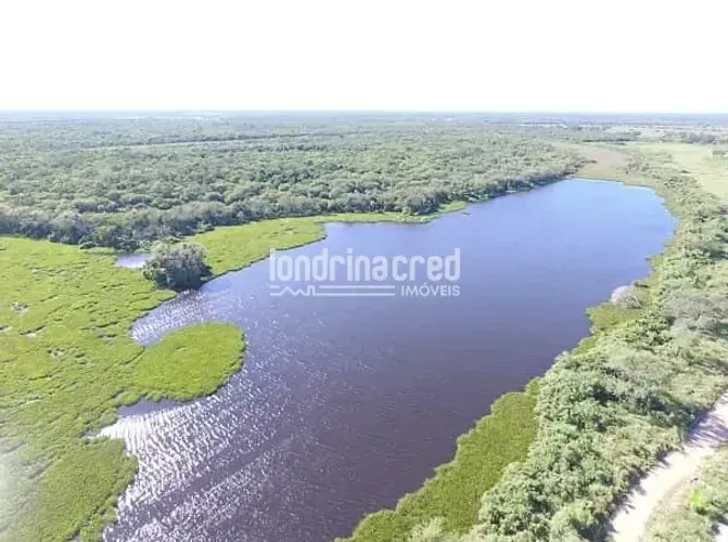 Fazenda San Justino no Chaco Paraguaio com valor de 900 dólares por hectare, totalizando 1