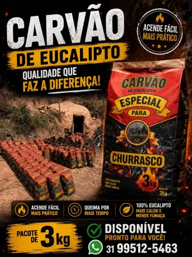 Carvão de eucalipto 