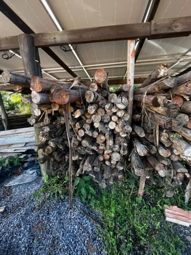 Estacas de eucalipto para cerca/obra - sobra de material