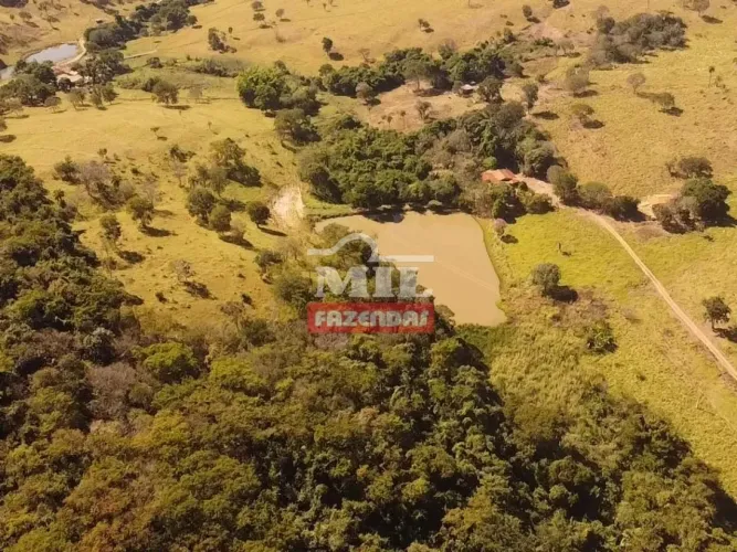 Chácara 7.97 Alqueires (38,57 Hectares) Cromínia - GO