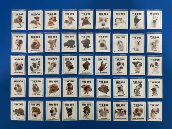 Tazos e Figurinhas The Dog Branco Elma Chips Lacrado