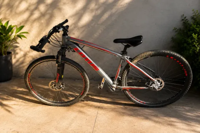 Bicicleta MTB Lotus Aro 29 (Anápolis)