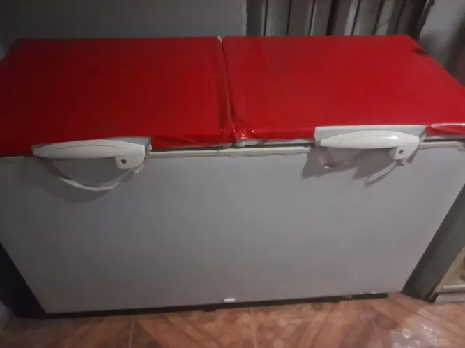 Freezer 503 L Fricon