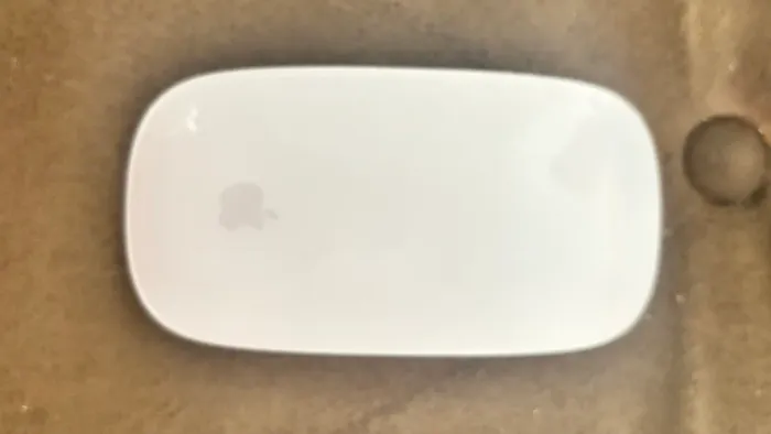 Mouse original Apple