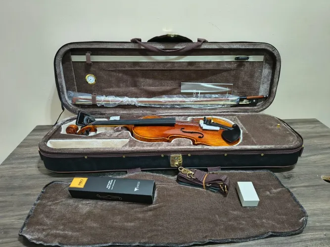 Violino Eagle VK 544 completo