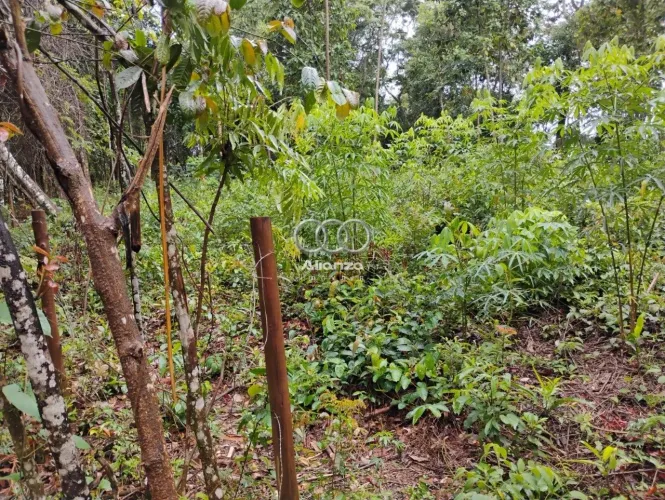 Lote à venda - Em Macacos!