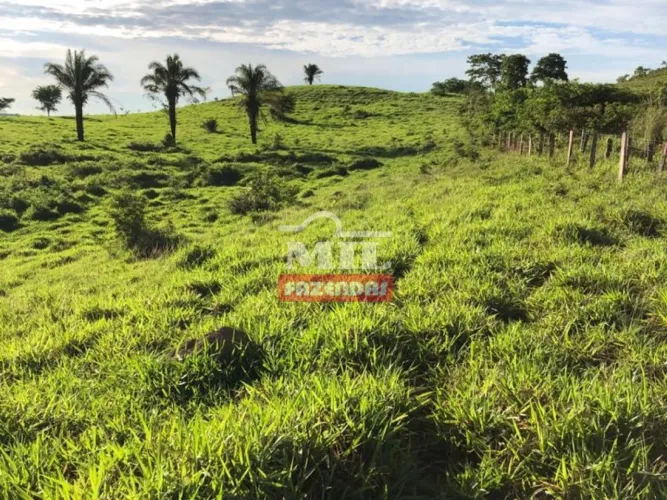 Fazenda em Baliza-GO. Área Total: 820 Alqueires (3.949 Há).