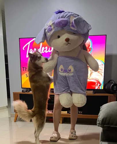 Pelúcia Stitch Gigante 