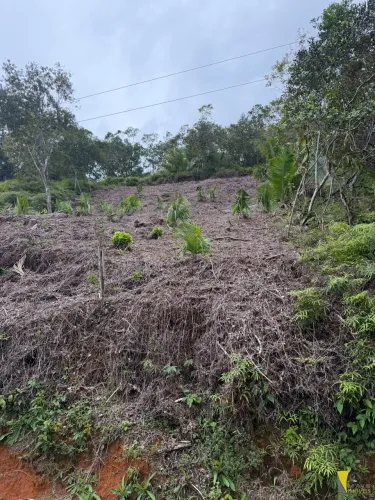 Terreno liberado Pru Mirim em Ubatuba
