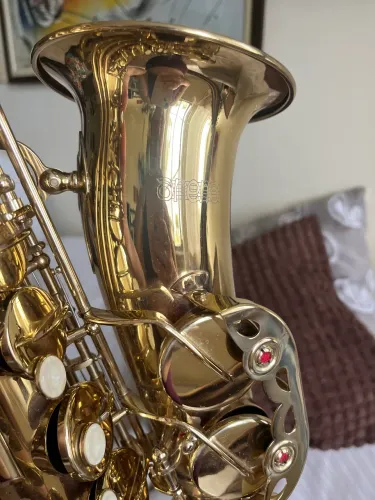 Saxofone Alto Arena com boquilha excelente