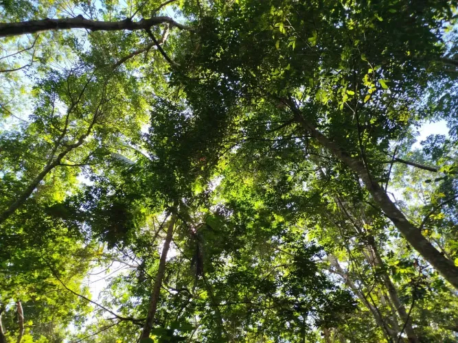 Vende-se excelente terreno com escritura em imbassaí  3.000 m²!
