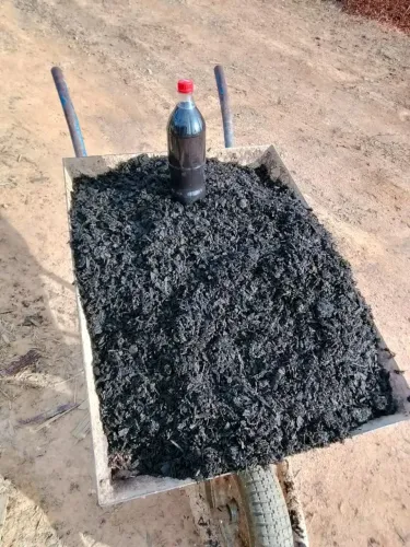 Composto 100% orgânico pra hortas e jardim 