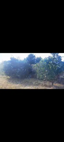Vende se ou troca se sítio em Santa Luzia 