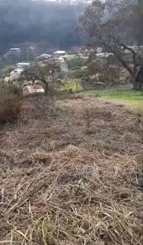 TERRENO EM AREAL BURGO DEL VINO