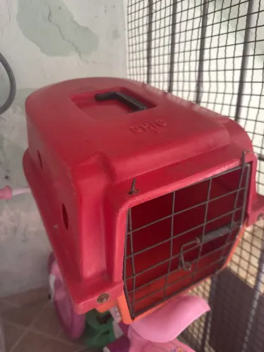 Caixa pra Animal
