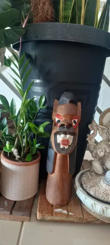 Carrancas 