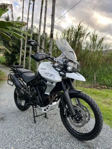 Tiger 800 xcx 2019