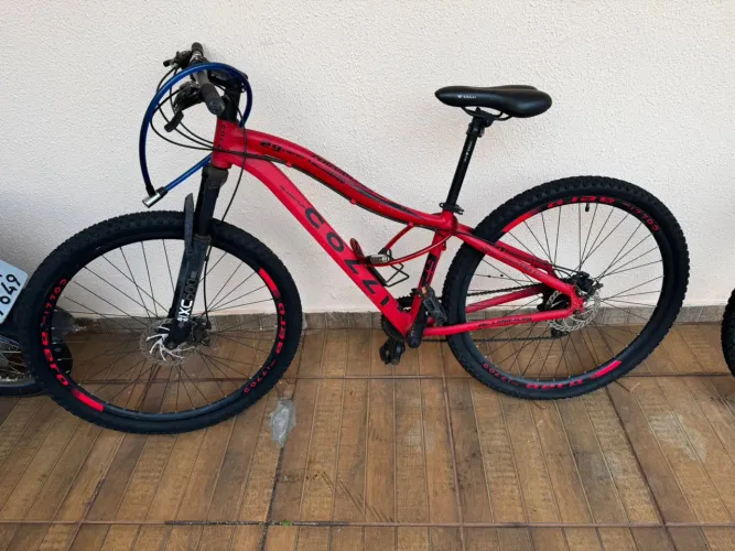 Bicicleta colli 29