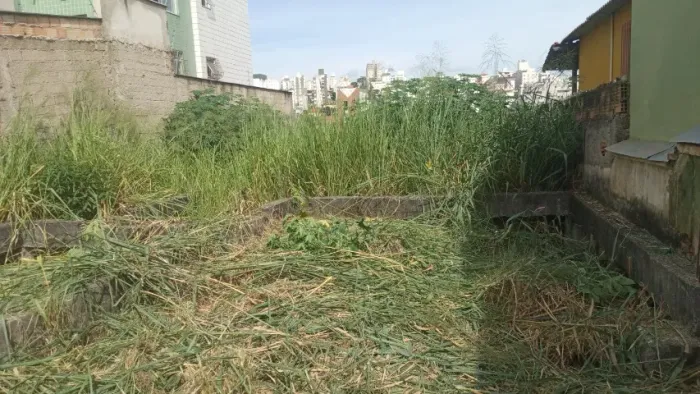 Jardineiro capinar rastelar lotes