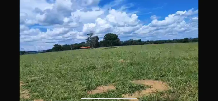 Fazenda de 22 alq em Sanclerlândia Go 
