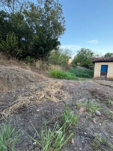Terreno Pindorama-Coruripe/AL