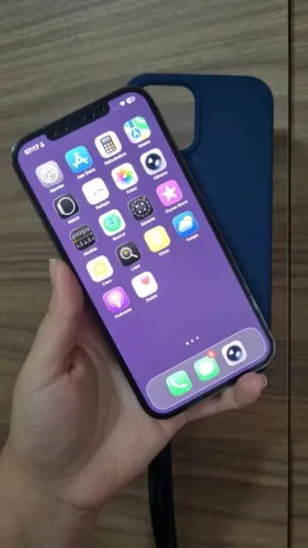 iPhone 12 Pro Max (256 GB)