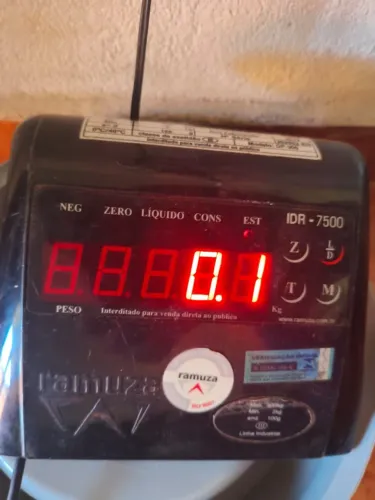 VENDO _Balança Digital 300kg - Inox 50x50 - Impecável