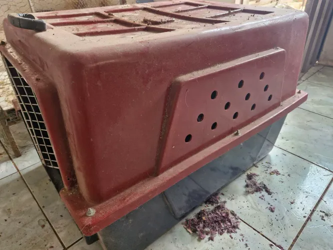 Vende-se casinha de cachorro N°5