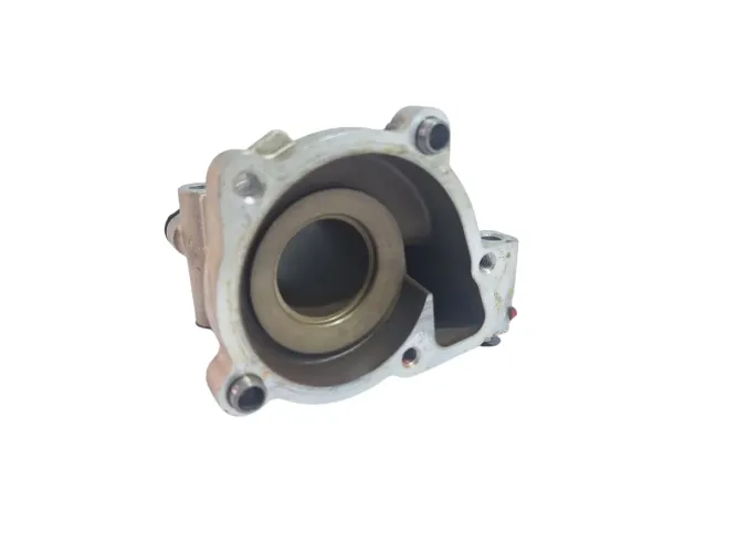 Carcaça Bomba Dâgua Jeep compass 2.0 2020 smp 