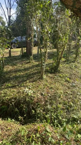 Vendo terreno pântano sul 6.651m2