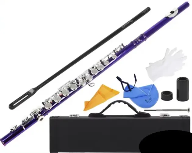 FLAUTA TRANSVERSAL ROXA LILAS AFINAÇÃO DÓ LUTHIERIA PROFISSIONAL PROSPERAR SLADE TODOS ACE