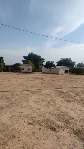 Fazenda de arrendamento 1.900 hec em planalto da serra MT. Argila 35% hoje plantando 500