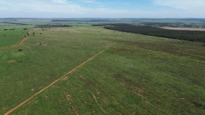 Fazenda 189 alqueiro