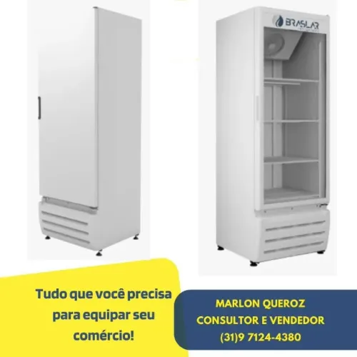 Freezer Vertical Industrial Braslar