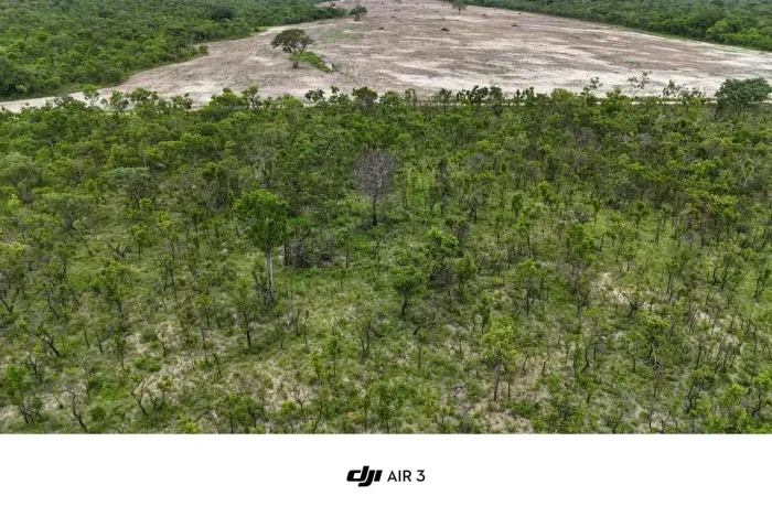 Fazenda 60 alqueires ( 290,4 hectares) Natividade - TO