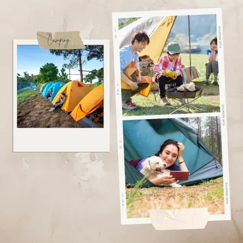 Aluguel de Equipamentos para camping/ lazer garantido.