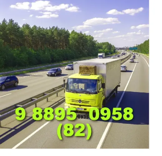 mudança melhor preço da cidade agora no sábado Anderson (82) 9 8895\0958