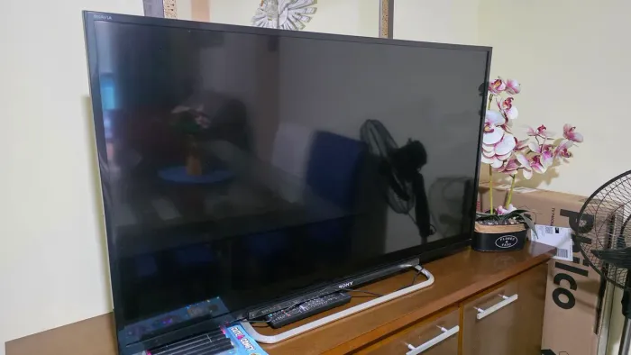 Tv Sony 43 polegadas R$100 - para retirar peças