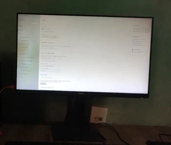 Monitor Dell