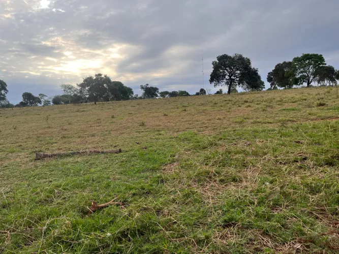 Área a venda