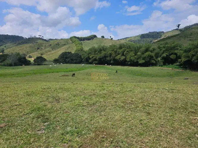 Fazenda À Venda em Capela - Alagoas