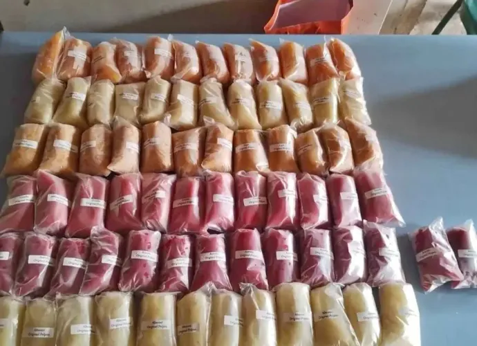 Polpas de frutas