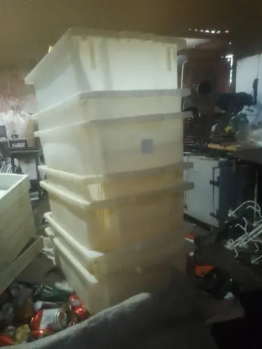 Caixas para açougue e peixaria!