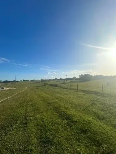 Excelente Granja com 10 hectares em Monte Alegre