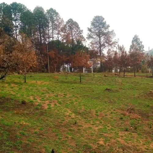 Sítio à venda - Natureza, nascente e tranquilidade em uma propriedade encantadora- Apotrib